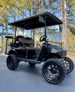 Navitas Storm 4 Seater 2023 Electric