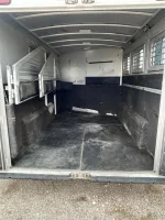 1999 Elite Custom 3 Horse Trailer
