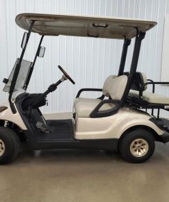 2016 Yamaha Lithium Ion Gas