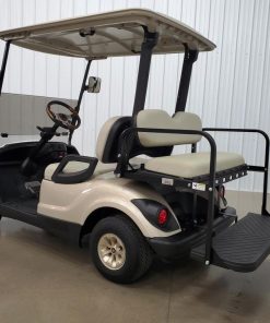 2016 Yamaha Lithium Ion Gas