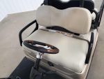 2016 Yamaha Lithium Ion Gas