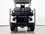 2022 E-Z-GO Freedom TXT EX1 Gas